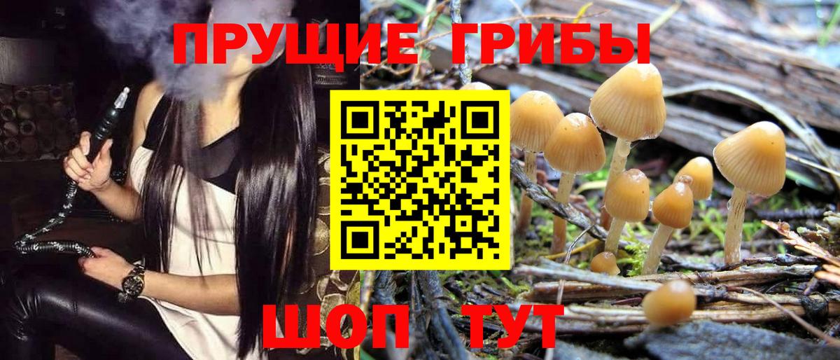 Вязьма  Псилоцибиновые грибы мицелий  Псилоцибиновые грибы MAGIC MUSHROOMS  Вход с VPN 