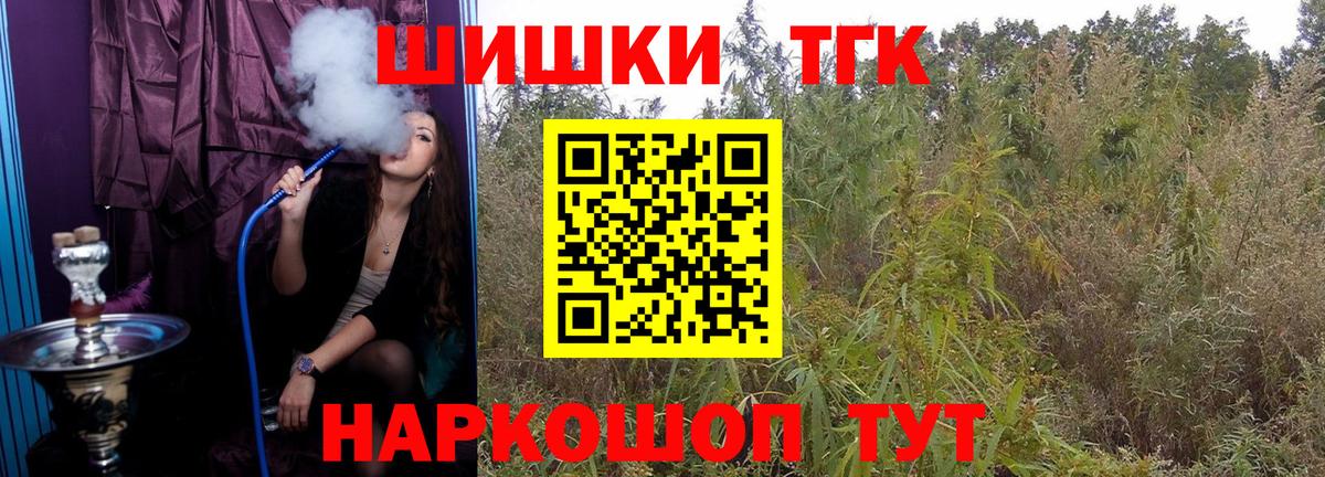 Конопля сатива Вязьма